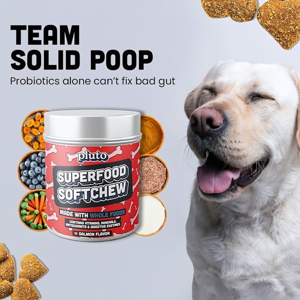 A high-contrast ad for pet superfood chews that uses a provocative, benefit-focused headline to address common digestive pain points.